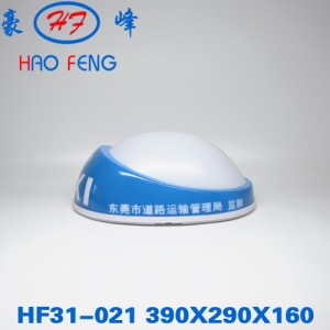 HF31-021a