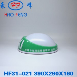 HF31-021e