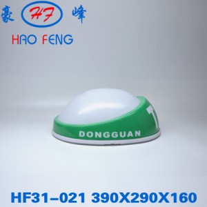 HF31-021f